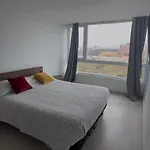 Arrecife 602